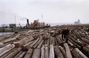 Сплав леса